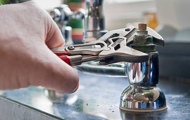Best Water damage contractors near me  in Shell Valley, ND