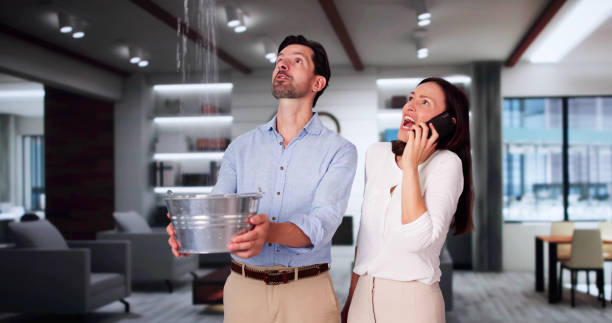 Best Water damage restoration company  in Shell Valley, ND
